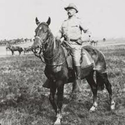 Timeline: Teddy Roosevelt Timeline Project
