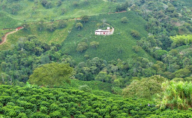 La marcha hacia el sur