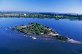 Pelican Island, Florida named first national wildlife refuge
