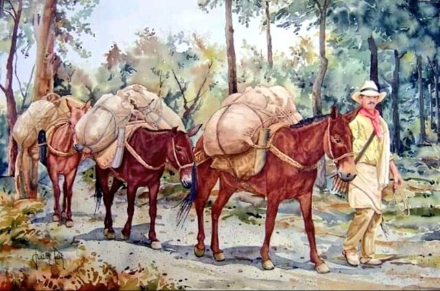 Implicaciones sociales y políticas