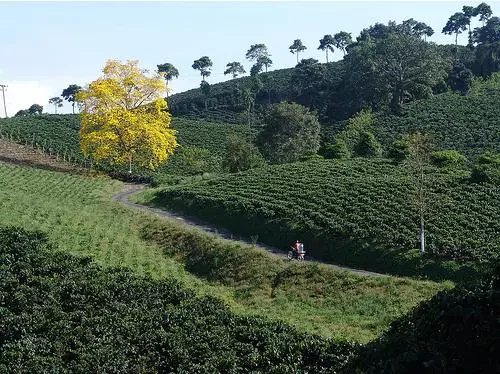 Implicaciones Económicas