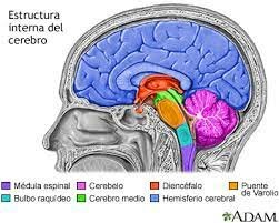 BENEDET EVALUACIÓN NEUROPSICOLÓGICA