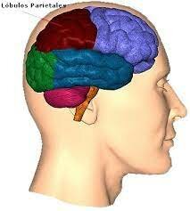 SE CREA EL INSTITUTO DE NEUROLOGÍA DE MONTEVIDEO.