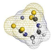 APORTE DE PLINIO Y GALENO A LA SEGURIDAD  Y SALUD EN EL TRABAJO