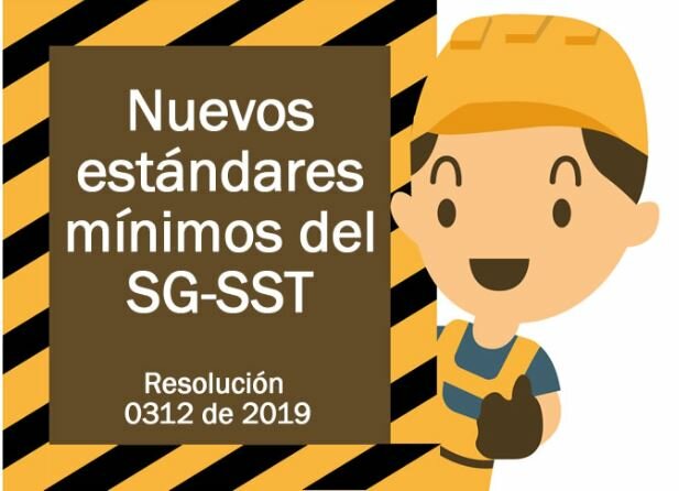 Resolución 0312 de 2019