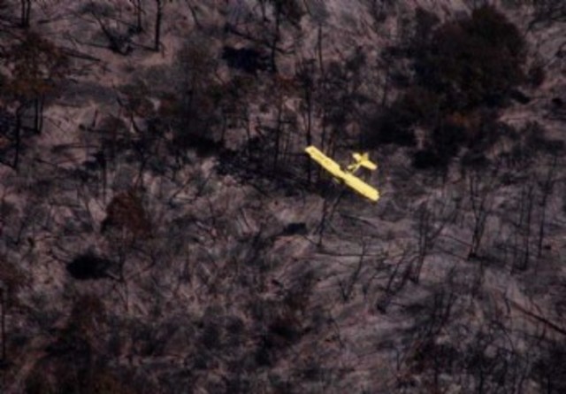 Llevó una semana extinguir el primer gran incendio forestal del verano