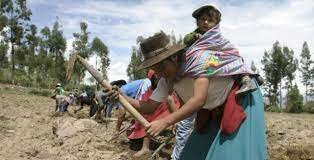 Año 1894. Engels se aproxima al cooperativismo agrario