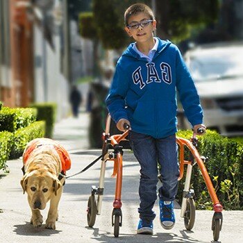 Discapacidad en la práctica actualmente