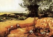brueghel el vell:els segadors