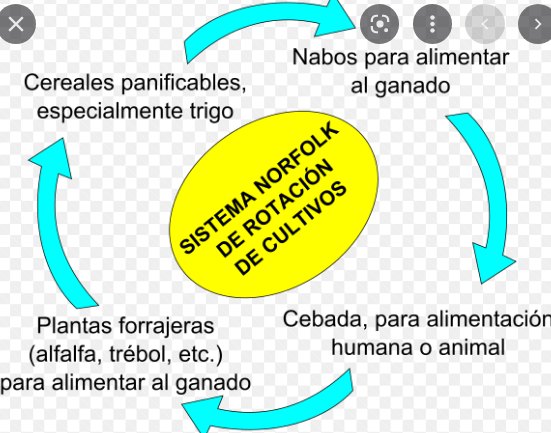 Lord Townshend introduce el Sistema Norfolk en la agricultura.
