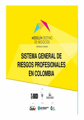 Sistema de Riesgos Profesionales