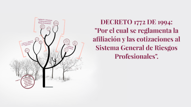DECRETO 1772