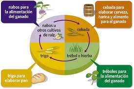 Lord Townshend introduce el Sistema Norfolk en la agricultura