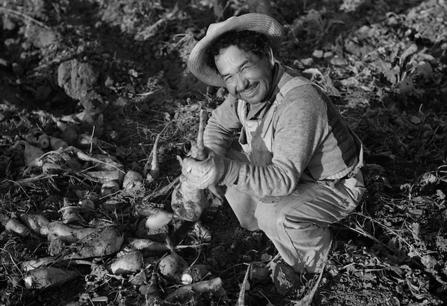 LEGALIZACIÓN DEL TRABAJO