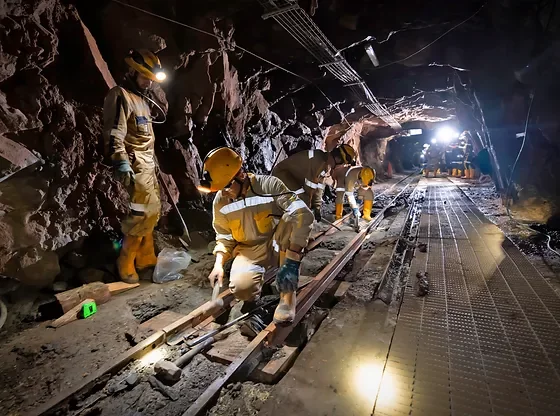 DECRETO NÚMERO 1335 DEL 15  DE JULIO DE 1987 PRESIDENCIA DE LA REPÚBLICA