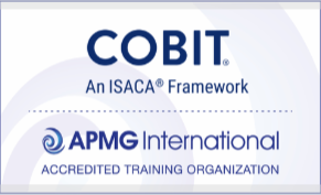 La primera edición de COBIT
