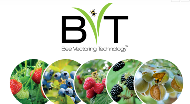 Bee Vectoring Technology - The use of bees to administer effective & sustainable crop control