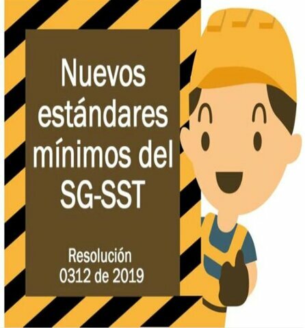 Resolucion 0312 de 2019