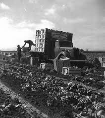 Programa de Trabajadores Temporales