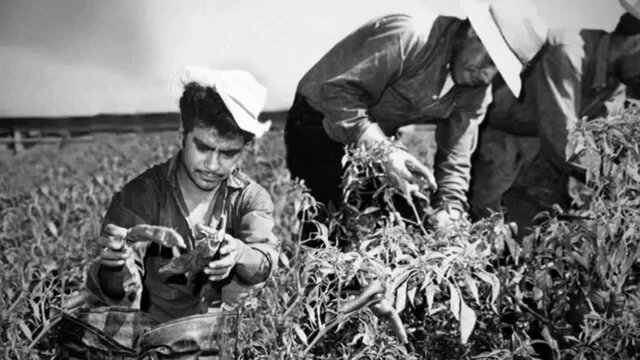 migración con el programa bracero