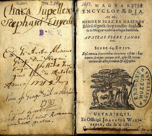 Művének megjelenése