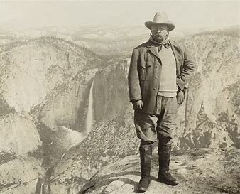 Golden Age of Conservation (Theodore Roosevelt)
