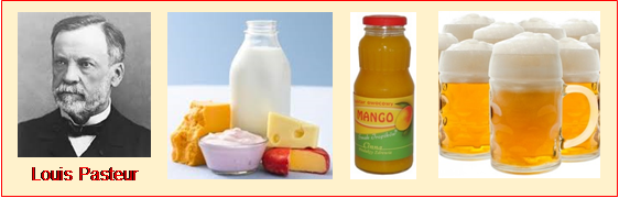 Descubrimiento de la Pasteurización por Louis Pasteur y su aplicación a la leche, vino y cerveza.