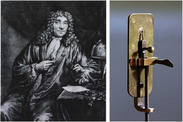 les animalcules de Anton van Leeuwenhoek