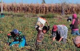 Inmigración Indocumentada