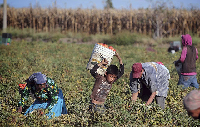Necesidad de mano de mexicana
