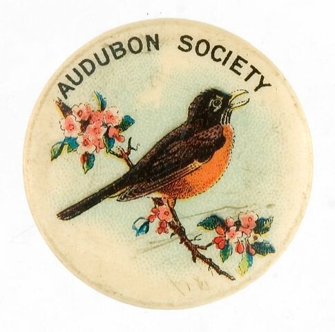 Audubon Society founded