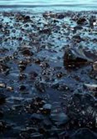 Exxon Valdez oil spill