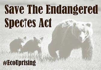 Endangered Species Act
