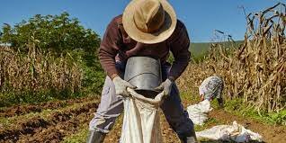 Alien Contranm ct Labor Law.