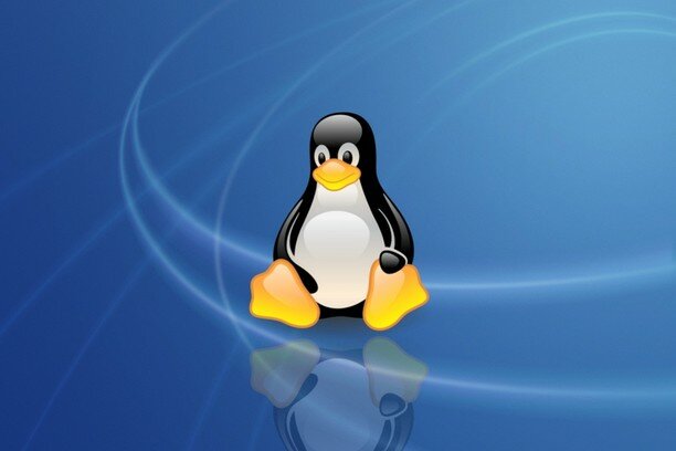 Llega Tux mascota oficial de Linux, nace la version 2.0