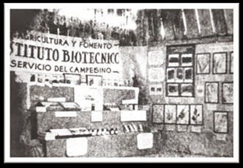 Instituto Biotécnico