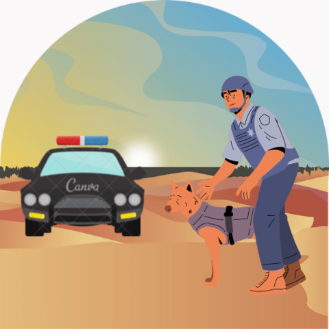 Patrulla fronteriza.