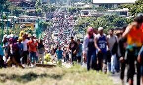 Migracion indocumentada