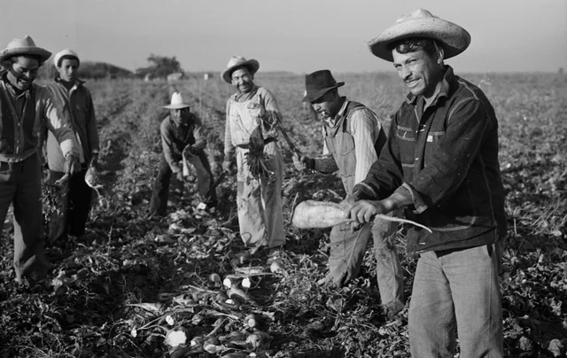 Otorgan empleos a los braceros