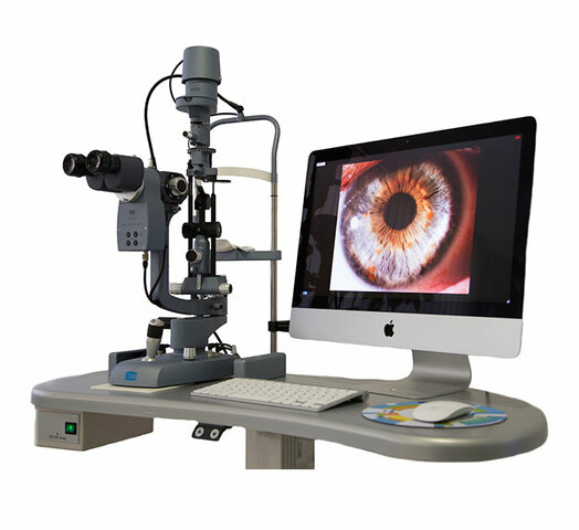 actualidad lámpara de hendidura sistema de video