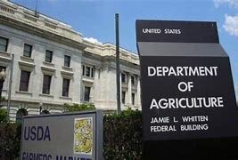 DEPARTAMENTO DE AGRICULTURA