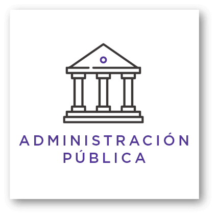 Bases para la Administración Pública