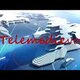 Telemedievo