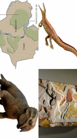 Analizado de la coincidencia de los bordes de los continentes