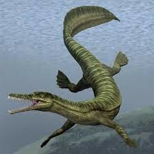 Descubrimiento de fósiles (mesosaurus)