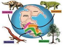 Analiza la coincidencia de los bordes del este de América y el oeste de Europa y África