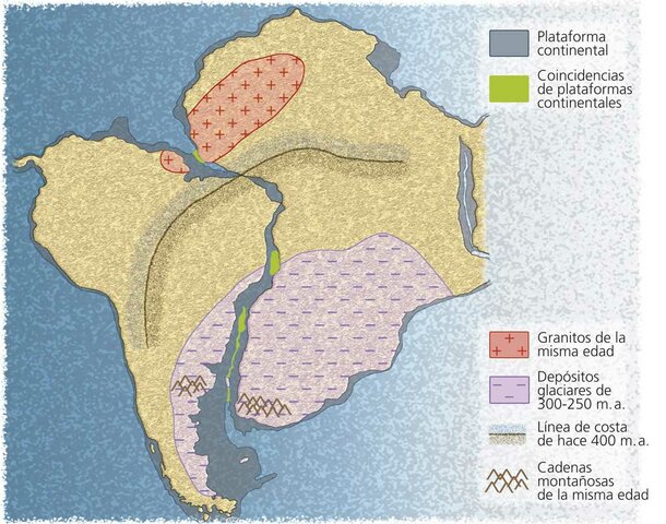 1ª evidencias de su teoría.