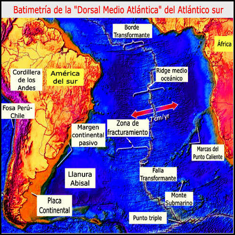 DERIVA DE LOS CONTINENTES
