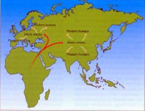 El Modelo Multirregional
