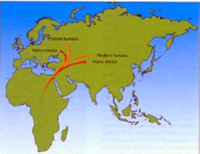 Modelo "Arca de Noe"/"Fuera de África"